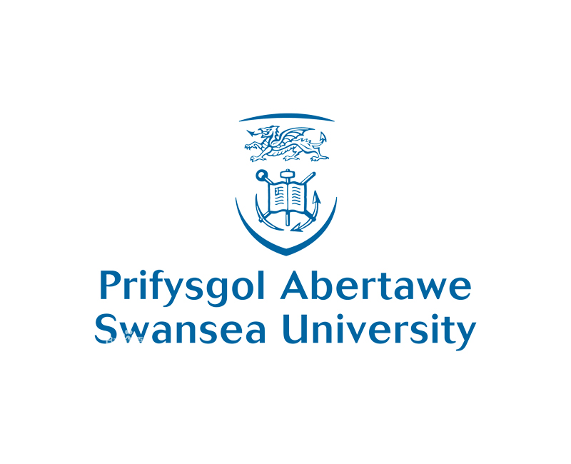 斯望西大学 Swansea University