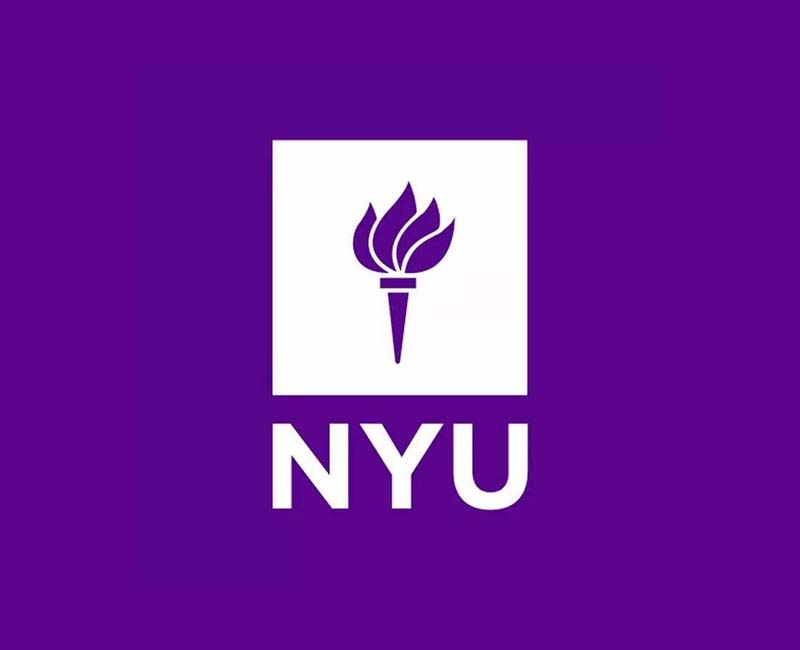 纽约大学 New York University